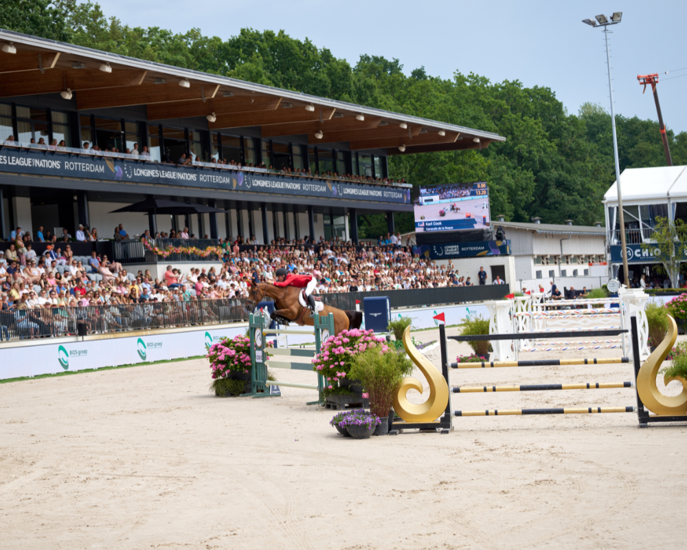 From young rider to Olympic champion