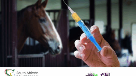 SAEF Testing Of Horses At Competitions.