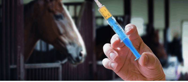 SAEF Testing Of Horses At Competitions.