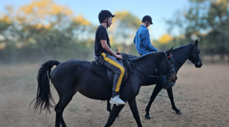 Hearts That Heal, the Story of De Adelaar Foundation.