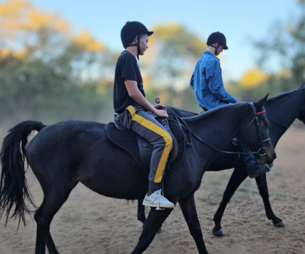 Hearts That Heal, the Story of De Adelaar Foundation.