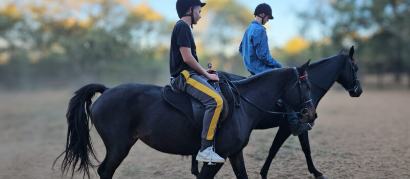 Hearts That Heal, the Story of De Adelaar Foundation.