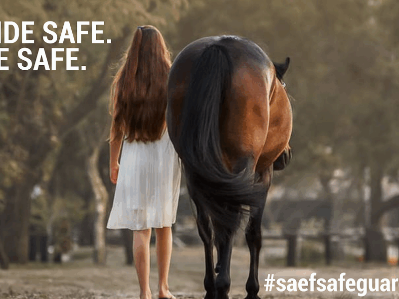 Why Safeguarding Matters in Equestrian Sport?