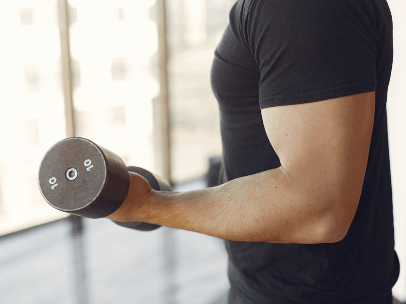 Rider’s Workout Toolkit: Arms of steel for softer hands