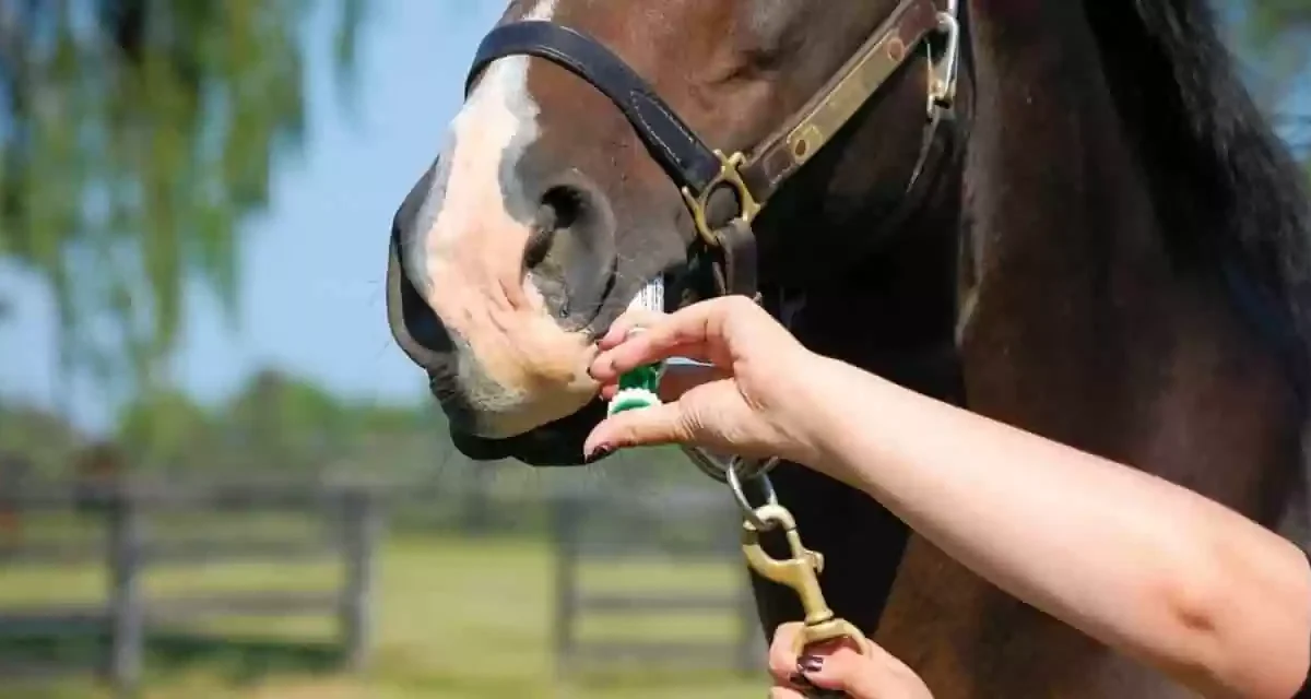Rethinking worm control.
