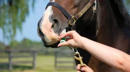 Rethinking worm control.