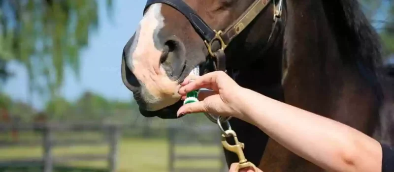 Rethinking worm control.