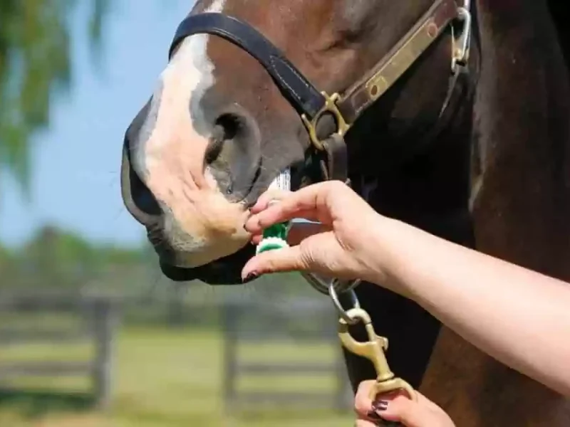 Rethinking worm control.