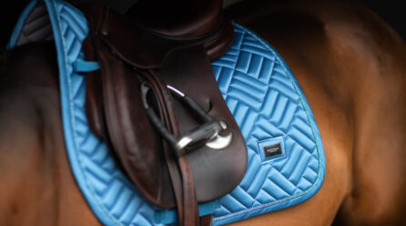 Gear Guide: The numnah