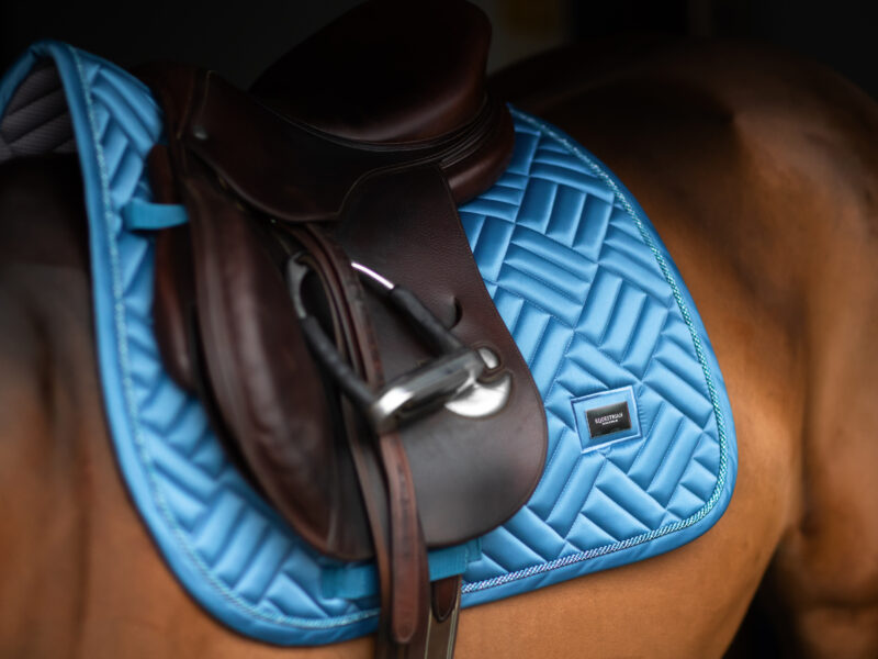 Gear Guide: The numnah