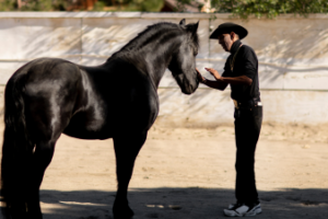 The art of standing still.