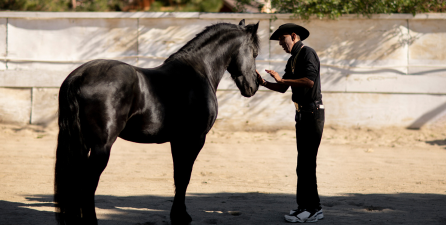 The art of standing still.