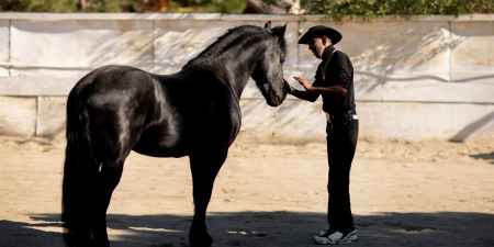 The art of standing still.