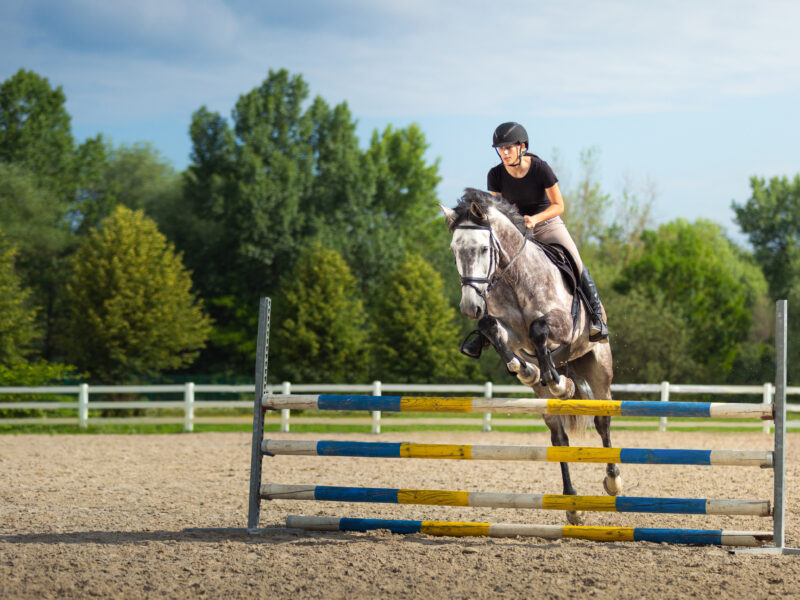 Five tips for riding a jumping line with confidence and control.